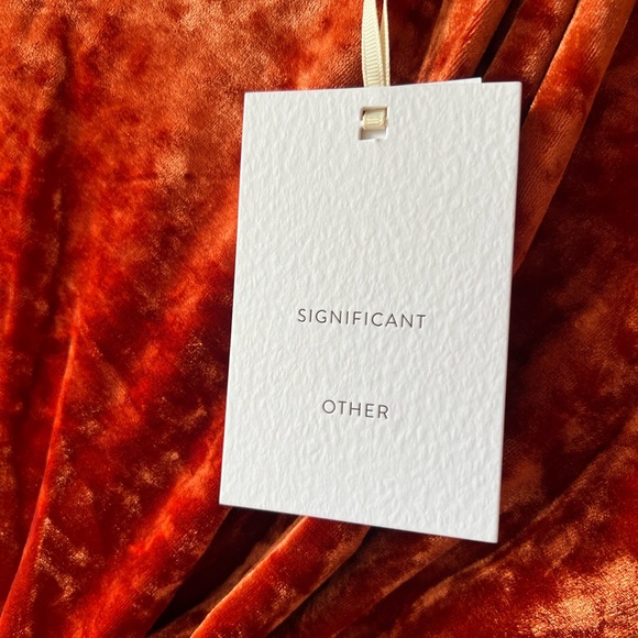 Significant Other Astrid Maxi Dress in Burnt Orange NWT 4 - Picture 5 of 9